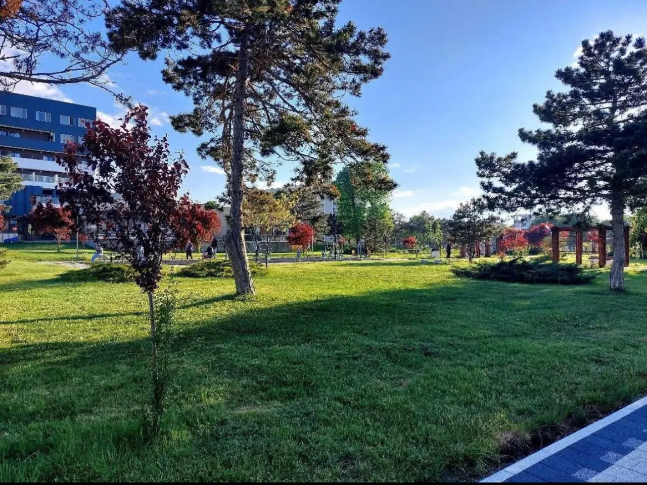 Parcul din centru